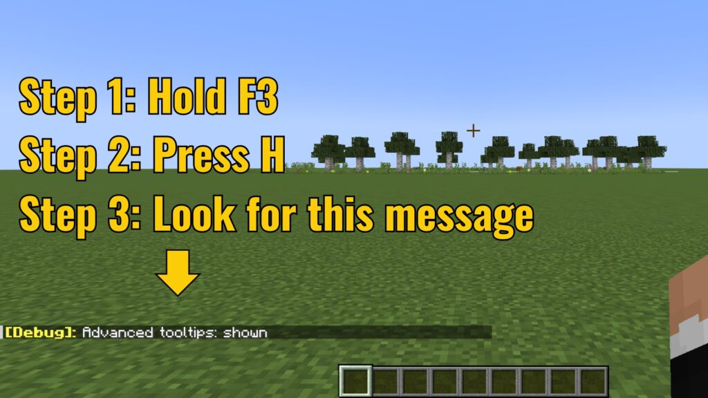 A screenshot from Minecraft. Text over the screenshot reads "Step 1: Hold F3. Step 2: Press H. Step 3: Look for this message." An arrow points down to a chat message reading "[Debug]: Advanced tooltips: shown"
